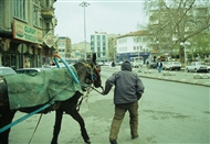 Horses and chariots in Kırklareli downtown (2003)