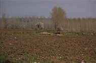 Στο Καραγάτς (τον Απρίλιο του 1996): Λάσπες πολλές, εύφορα εδάφη, και καβάκια