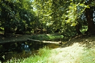 Ρεντίνα το 1982: Το ποταμάκι δίπλα στην Αγία Μαρίνα