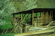 Στον δρόμο προς Κρώμνα: Γκρεμισμένο ξύλινο καλύβι