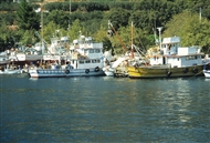 Μαρμαρονήσι / Μαρμαράς (Σεπτέμβριος του 2001): Ψαροκάικα στο λιμάνι της Χώρας