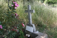 Γλυκύ (Ίμβρος το 2008): Ο τάφος του Ζαφείριου Δεληκωσταντή δίπλα στις πικροδάφνες στο Κοινοτικό Κοιμητήριο