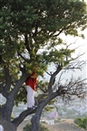 Μάιος του 2008 στην Ίμβρο: Φωτογραφίζοντας από το δέντρο τα πατριαρχικά θυρανοίξια των Αγίων Πάντων