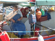 Στο ψαροχώρι Κοιλάδα (Ιούνιος 2013): Ξεψαρίζοντας