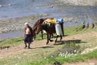 Χωρική με δυο άλογα στην άγρια ερημιά (στα μέρη της Κορυτσάς, τον Απρίλιο του 2010)