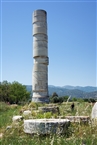 Το Ηραίο της Σάμου: Η μία και μοναδική κολώνα του ιωνικού ναού της Ήρας