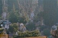 Εβραϊκό Νεκροταφείο Αρναούτκιοϊ (Φεβρ. του 2011): Όψη του πυκνοκτισμένου βοσπορινού νεκροταφείου