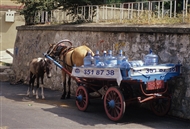 Χάλκη των Πριγκιποννήσων (το 2005): Εμφιαλωμένο νερό μεταφέρεται με ιππήλατο κάρο