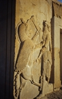 Ανάκτορο του Δαρείου, Περσέπολη. Ο Δαρείος Α΄ σκοτώνει το μυθολογικό τέρας