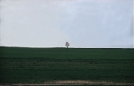 The almost uninhabited Thracian countryside NE of Adrianople / Edirne