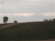 The Thracian plain in winter