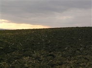 The Thracian plain in winter