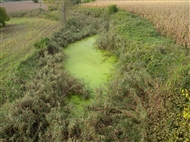 The marsh around Justinian’s Bridge on the Sakarya River