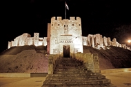 The bridge to the Castle of Aleppo (12th-13th c.)