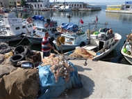 The port with the fishing boats