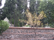 The Catholic Cemetery of Feriköy