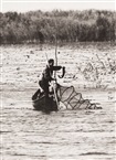 Sulina (Danube Delta), traditional fishing technique (1970)