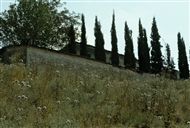 Didymoteicho (August 1982): The path leading to the Armenian Church of Surp Kevork in the Castle