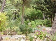 The Section of Historic Plants in the Diomedes Botanic Garden