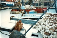 Upper Bosphoros: Fishing boats (in 1990)