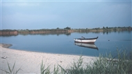 A summer morning at the Delta of the River Nestos (July 1995)