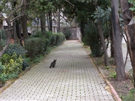 Feriköy, Protestant Cemetery