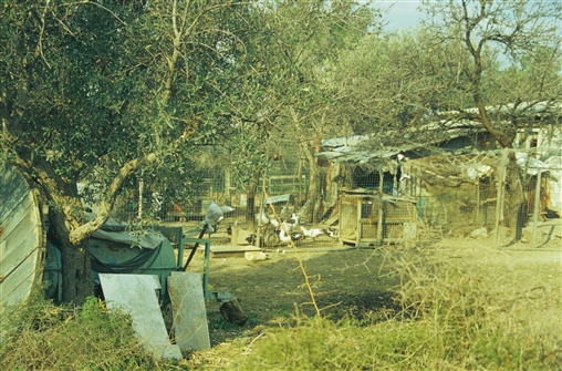 GEMTHR_E_AL_KM_M_001.jpg