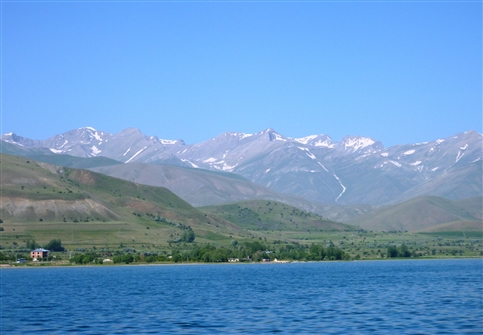 T_LAVAN_123.JPG