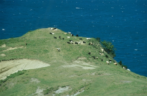 T_ASBS_KA_INE_002.jpg