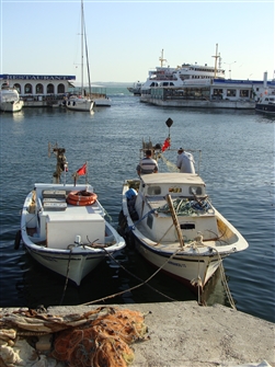 T_EURDAR_G_G_192.JPG