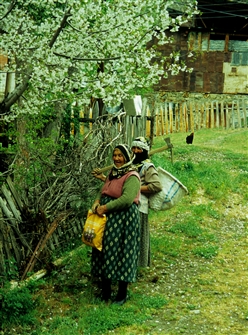 T_ASBS_G_KROM_009a.jpg