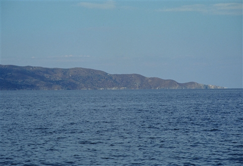 T_MARN_M_104.jpg