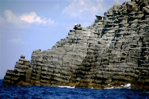 T_NISIA_IM_051.jpg