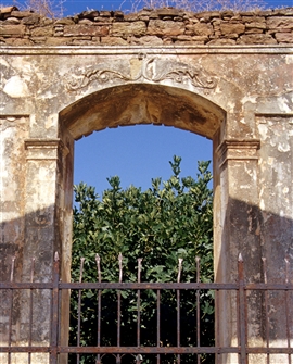 T_NISIA_IM_T_ SCH_002a.jpg