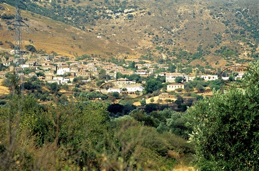 T_NISIA_IM_T_002a.jpg