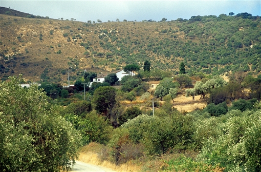 T_NISIA_IM_T_003.jpg