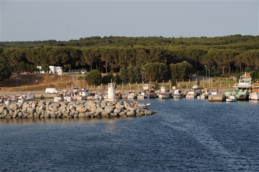 T_EURDAR_EC_KABAT_028.JPG