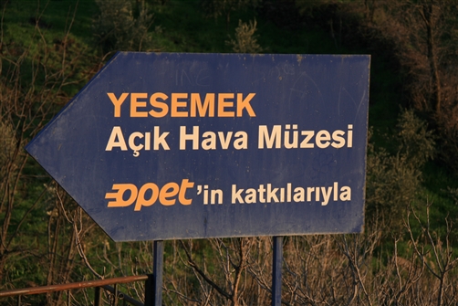 T_ASSE_G_YESEMEK_002.JPG