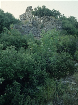 D_215_03.jpg