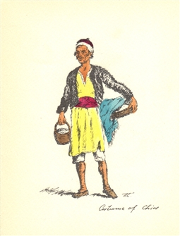 G_TRA_COST_105.jpg