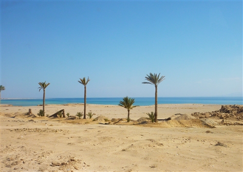 E_SIN_110.JPG
