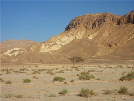 E_SIN_129.JPG