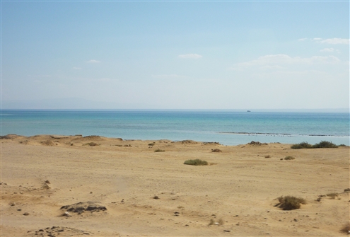 E_SIN_111.JPG