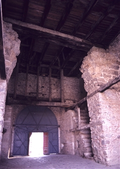 F_EIRINI_213a.jpg