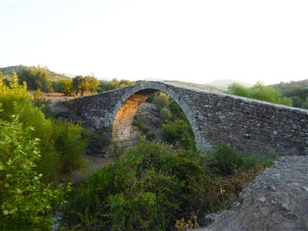GL_KREMASTI_BR_ 001.JPG