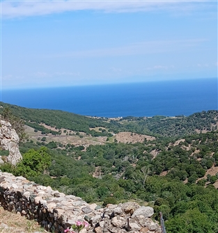 GSAMOTHR_X_K_082.jpg