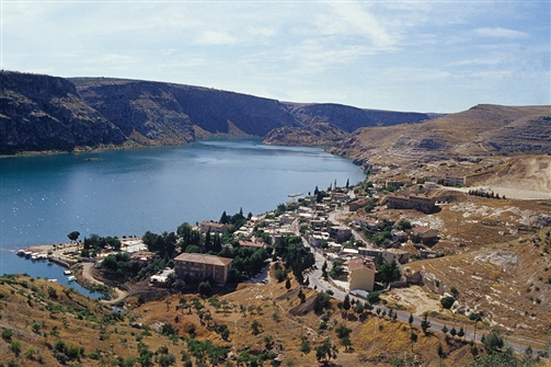 TAN_EFHAL_001.jpg