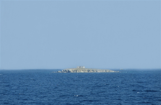 T_NISIA_TE_002.jpg