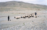 ΒΔ Ιράν: Οι βοσκοί με τα κοπάδια τους και η απελπιστική ξηρασία (άνοιξη του 2000)