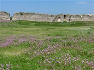 Νικόπολις (άνοιξη του 2011): Το δυτικό τμήμα των Τειχών της Πρωτοβυζαντινής εποχής